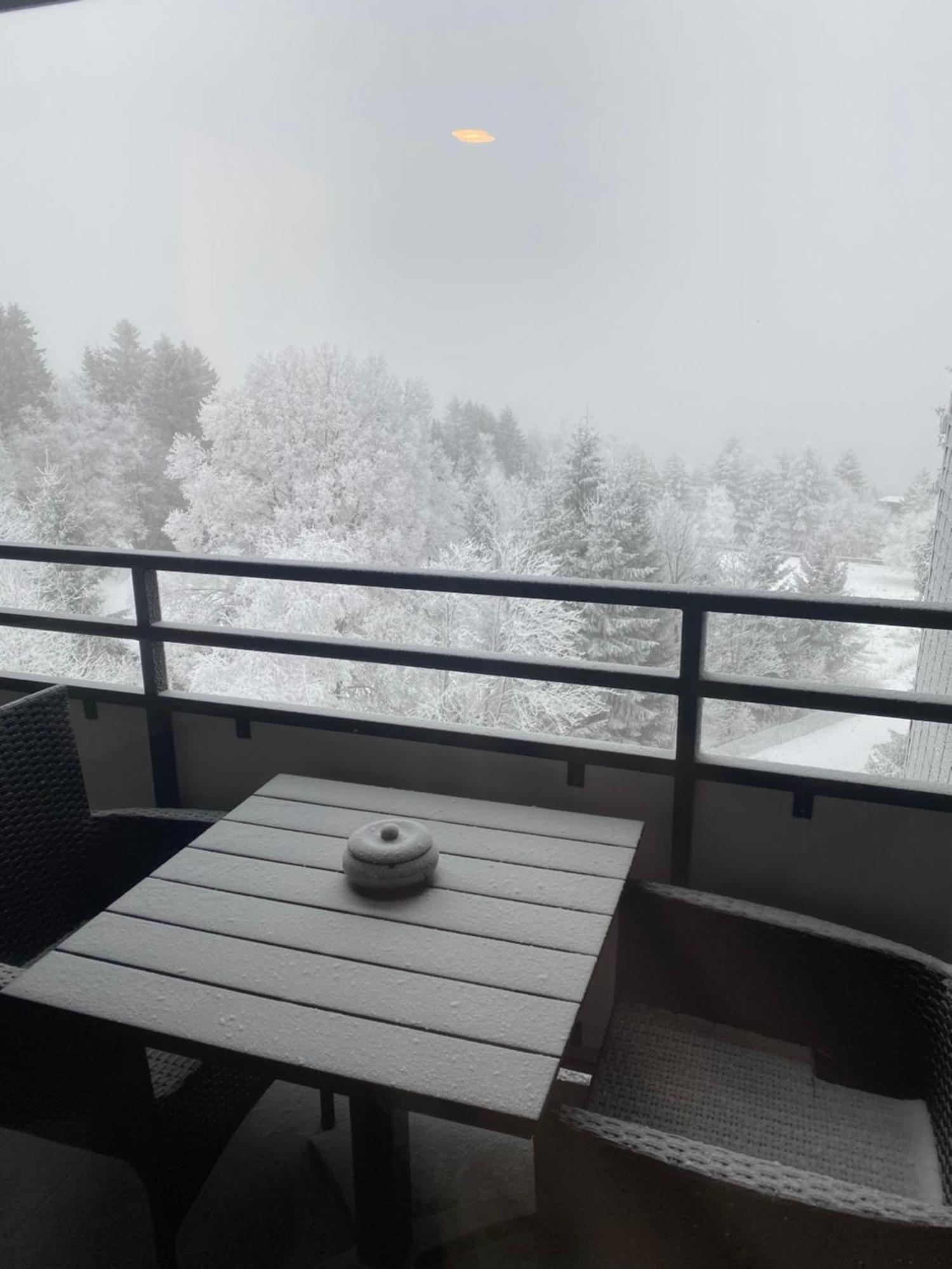 Apartment Bergluft Winterberg Am Bikepark, Skilift, Ssc Экстерьер фото